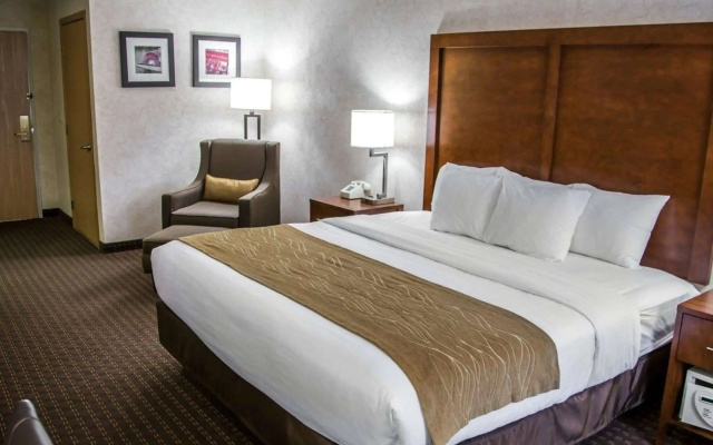 Comfort Inn & Suites Riverview near Davenport and I-80