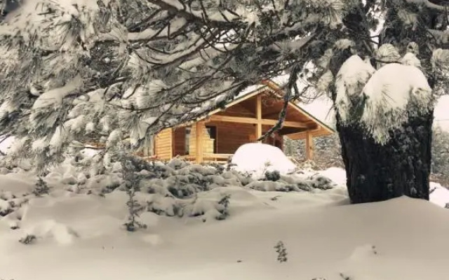 Uludag Orman Koskleri Sarialan