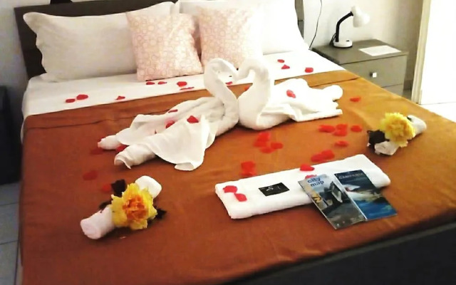 Sweet Night