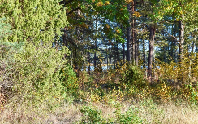 Stunning Home in Mönsterås With 3 Bedrooms and Wifi