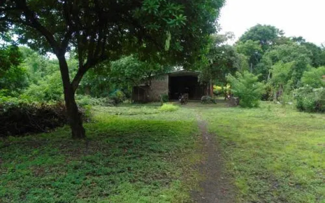 Hostal El Guis Ometepe