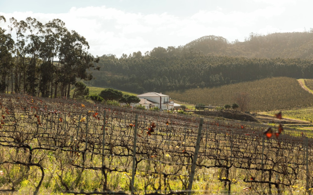 Quinta da Murnalha