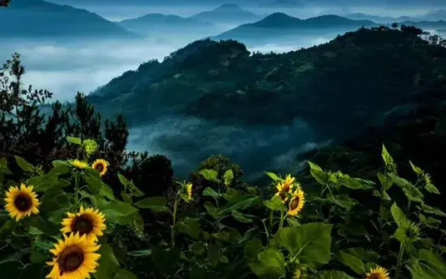 Atour Hotel (Huangshan Ancient Street, Xin'an Riverside)