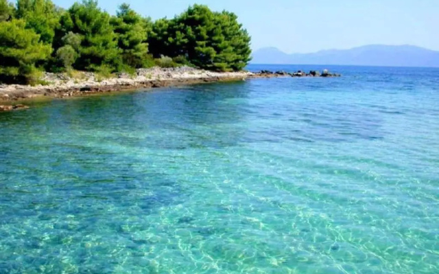 Apartment Ivica - 50 m from sea