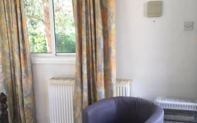 Detached Cozy Studio