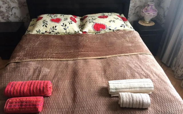 Vip Apartment at Gamrekeli str 1