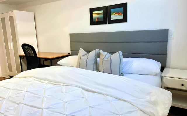 Cheerful and Modern