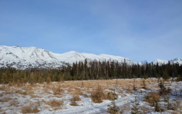 Moose Wallow Cabins