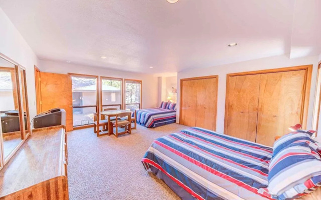 White Elm Lane 15