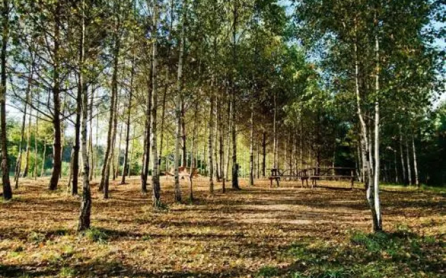 Pensjonat Pila Mlyn