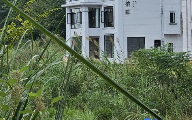 Qipan Homestay (Tiantai Great Waterfall)