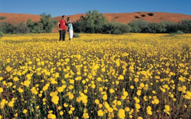 Wooleen Station