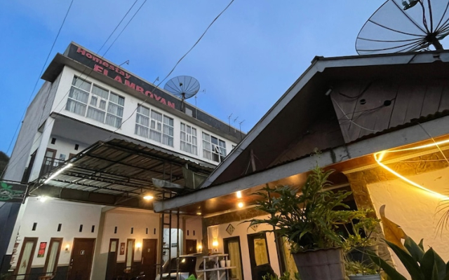 Flamboyan 2 Homestay