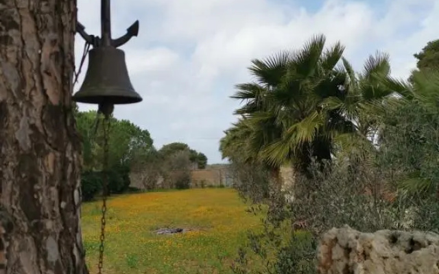 La Casa Nella Pineta - Gallipoli
