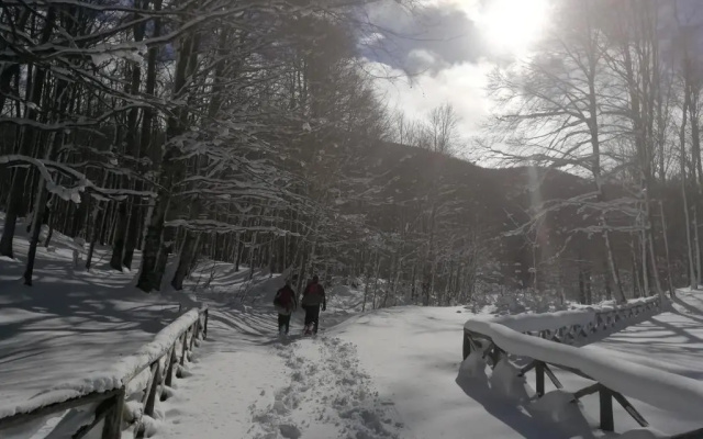 B&B Il Buon Cammino