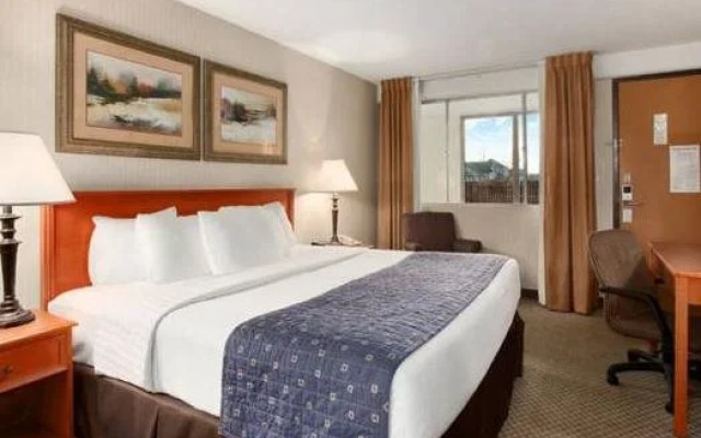 海斯大使酒店及会议中心(Hays Ambassador Hotel & Conference Center)