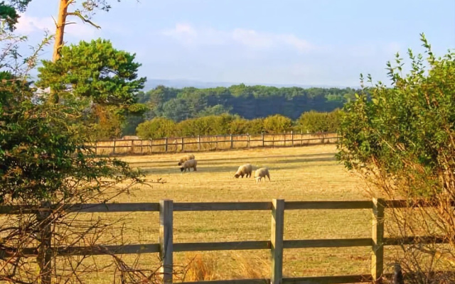 Hartswood East