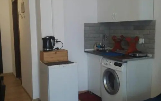 Bakuriani Mgzavrebi George's Private Apartment