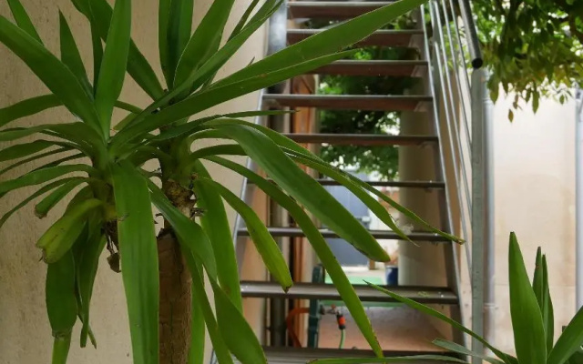 L'Esprit Loft