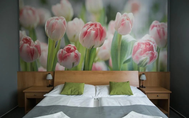 Hotel Imos