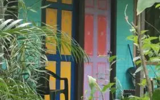 Cabinas Tortuguero