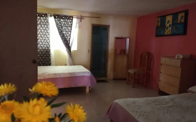 Nice Apartment Near The Center Ground Floor