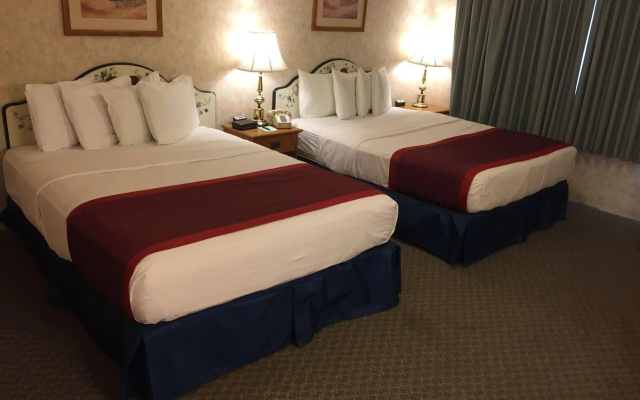Swiss Alps Inn