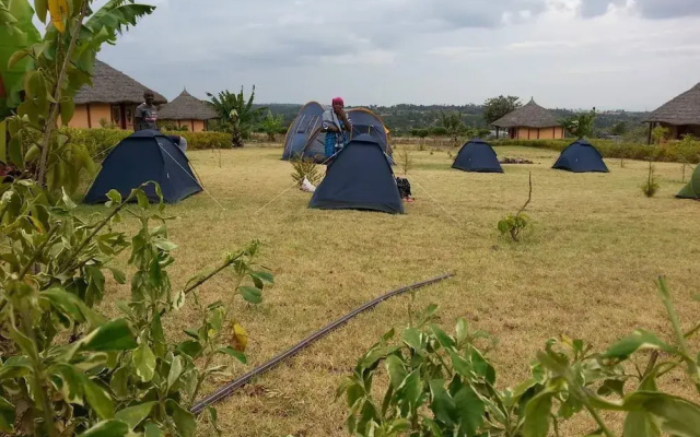 Great Circle Camping and Game Drives