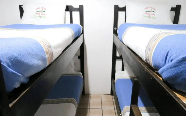 Cabanas Yunuén Rotamundos