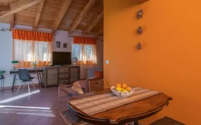 Apartment Orange 29