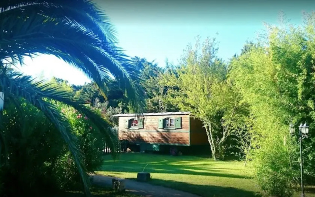 La roulotte des Alpilles Gypsy Chic