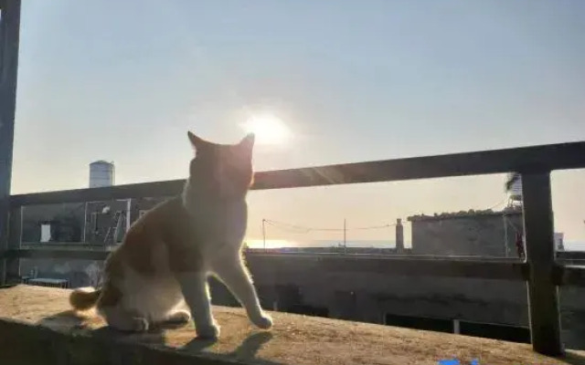Pingtan MEOW Marcia Holiday Hostel (Aoqian Branch)