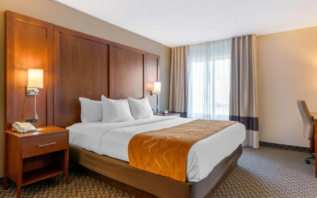 Comfort Suites South Haven near I-96
