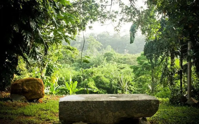 Maygrove View Galle
