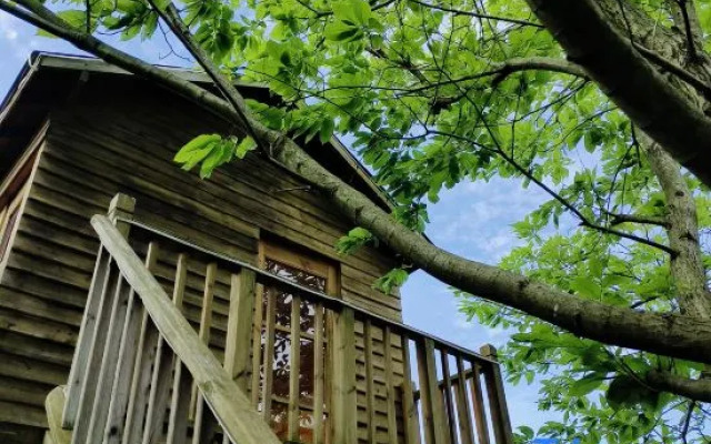 Floral Hotel·Moganshan Natural House Pet Hotel