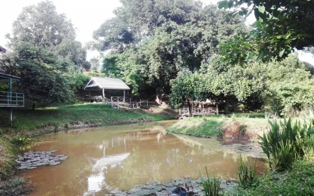 Dreamhome Chiangdao
