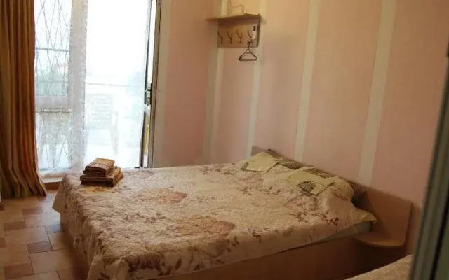 Hotel Novyi