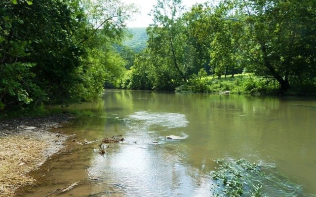 Light of the Valley River House