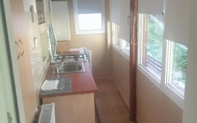 Studio Furnica Sinaia