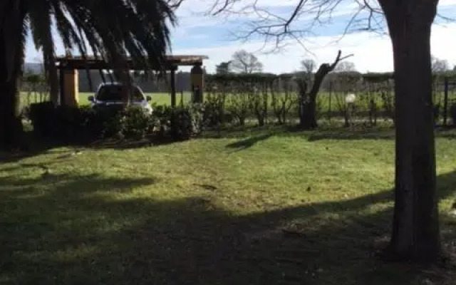 Podere Il Castellaccio Pianetti