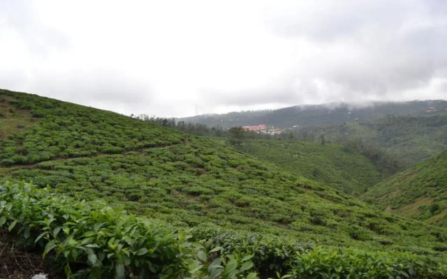 Ferndale Homestay