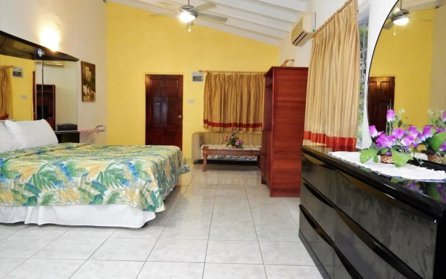 JJ's Paradise Hotel