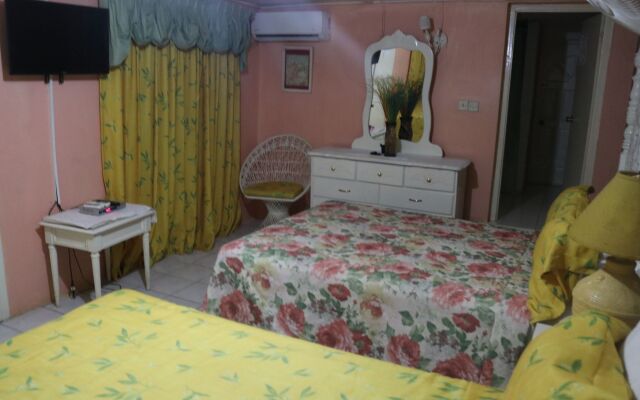 Hibiscus Hostel комната для гостей