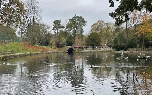 Studio/lickey Hills/near Attractions/garden/petok