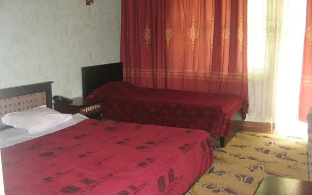 Hotel Mtskheta Palace
