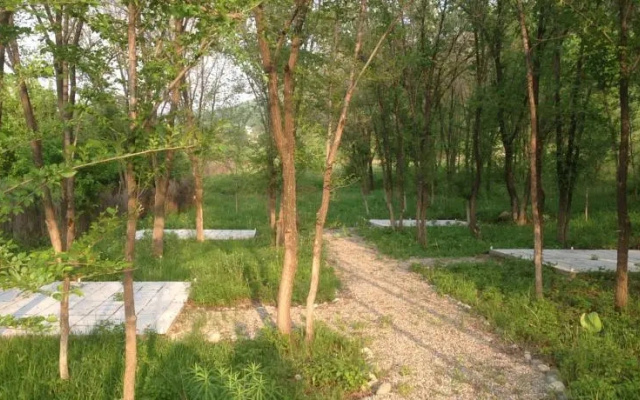 Turkic Park