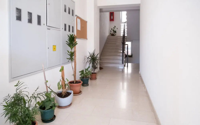 Apartment Filip