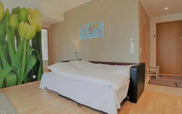 Scandian Apartments - City Park Tallinn