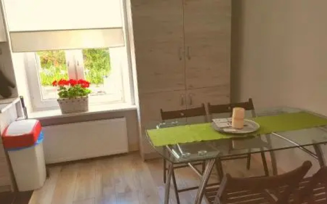 Zorza Polarna