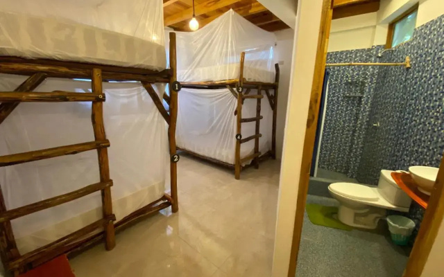 Hidden House Hostel